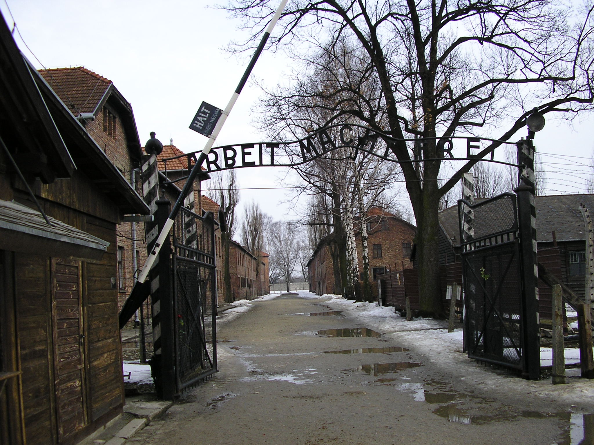Auschwitz 1