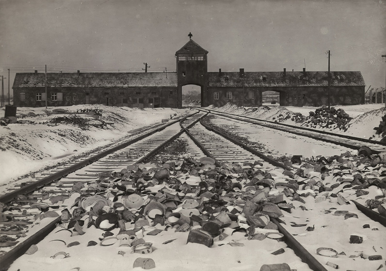 Arrivee Auschwitz-Birkenau